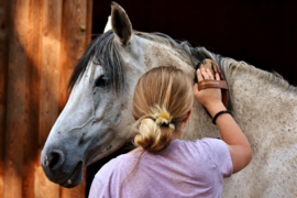 Paarden verzorgen