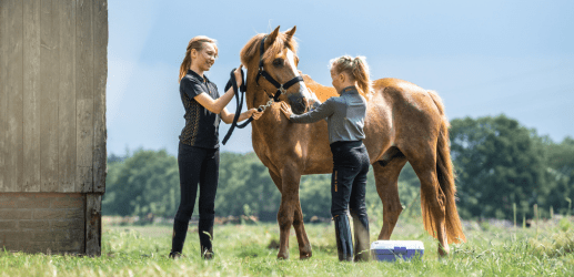 meisjes-verzorgen-paard