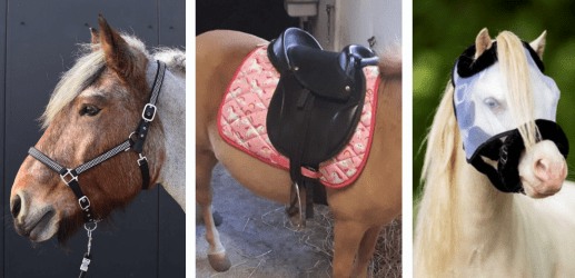 paardenbenodigdheden