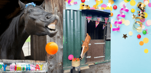 paardenfeestje