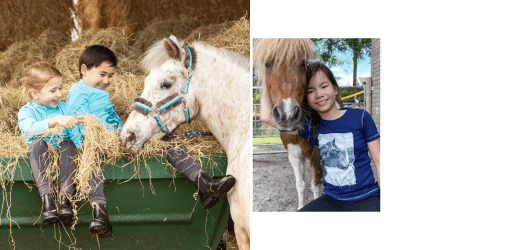 ponykamp-pret-met-paarden