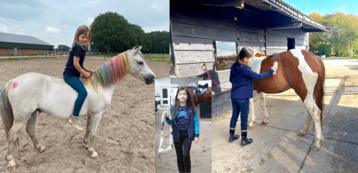 ponykamp-pimp-je-pony-poetsen