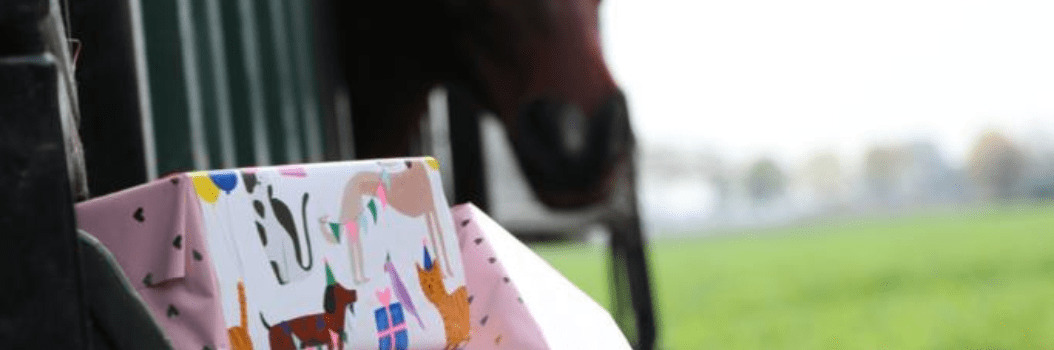 Cadeau paardenliefhebber