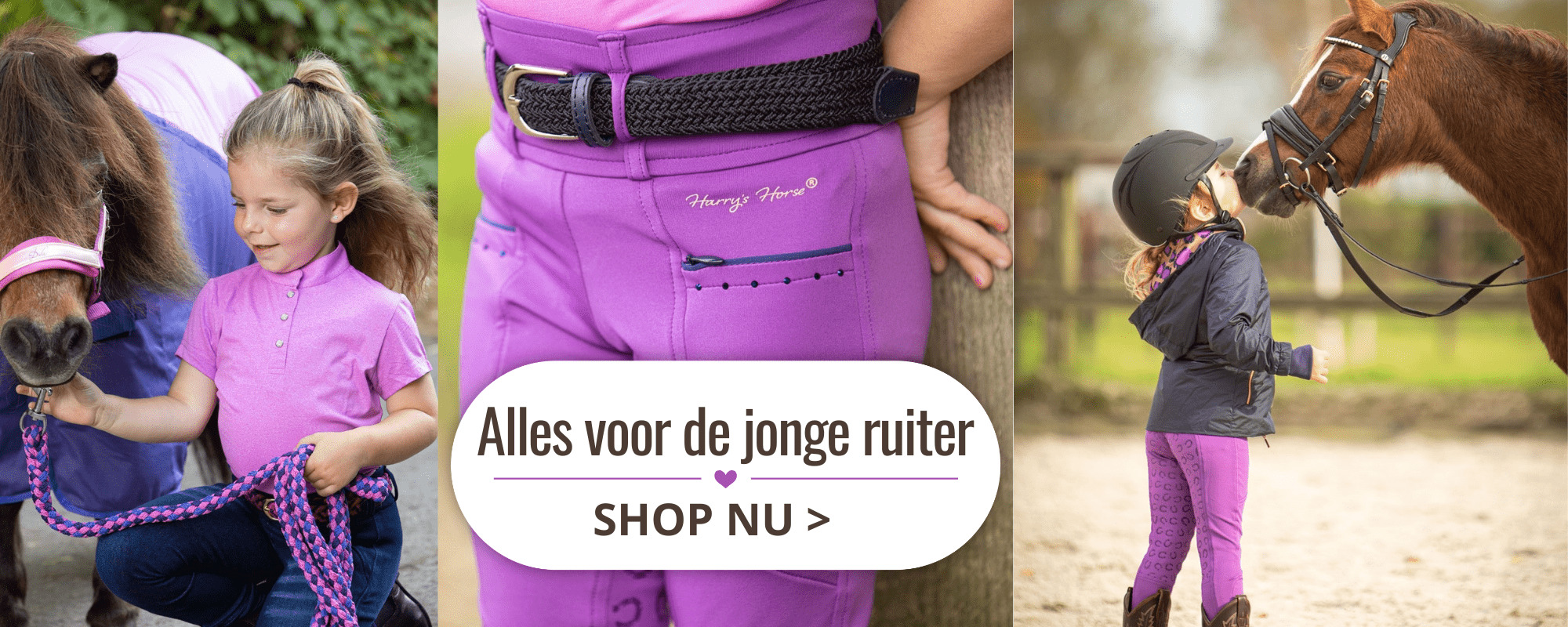 Alles voor de jonge ruiter
