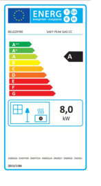 SAEY PEAK GAS CC