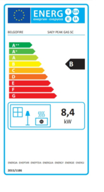 SAEY PEAK GAS SC