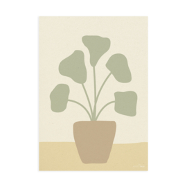 Interieurkaart | Shape | Plant | A5