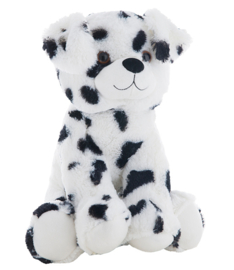 "DOT" THE DALMATIAN