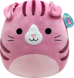 Fidget Toy - Squishmallow - Geraldine (Roze Kat) - 40cm