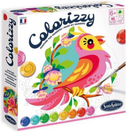 Colorizzy - Schilder op nummer - Parkieten