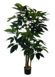 kunstplant - Schefflera 145cm