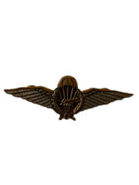 Bronzen Para wing