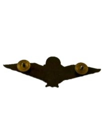 Bronzen Para wing