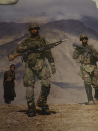 Over grenzen Het Korps Mariniers na de val van de muur  1989-2015