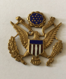 US Army Airforce badge