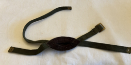 Engels model  Para chinstrap