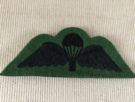 Para wing Cameronians