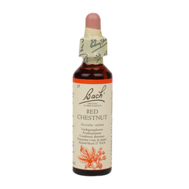 Bach Red Chestnut/Rode Kastanje 20ml