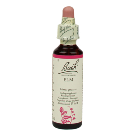 Bach Elm/Veld Iep 20ml