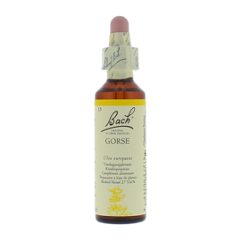 Bach Gorse/Gaspeldoorn 20ml