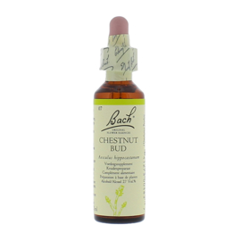 Bach Chestnut Bud/Kastanjeknop 20ml