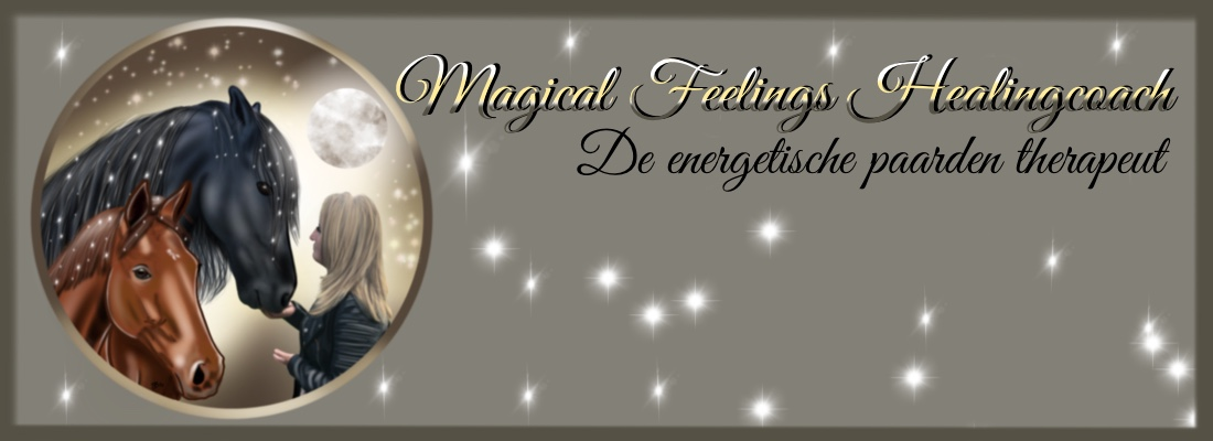 Magical Feelings Healingcoach
