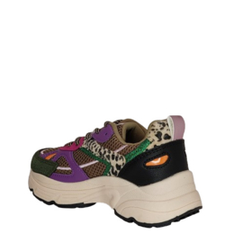 POSH BY POELMAN SNEAKER - GREEN PURPLE