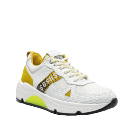 GIGA SNEAKER - G3397 - DRAGON WHITE