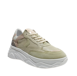 HIP SNEAKER - H1580 - BEIGE COMBI