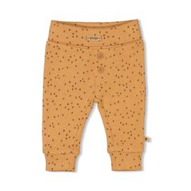 FEETJE BABY BROEK - TINY ROAR