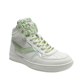 KOEL4KIDS HIGH TOP SNEAKER - LIAM MINT