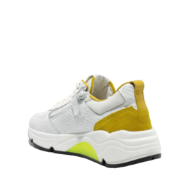 GIGA SNEAKER - G3397 - DRAGON WHITE