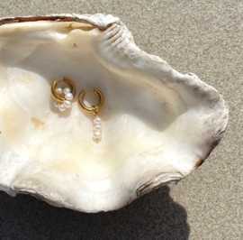 Oorbellen Rounded Pearls