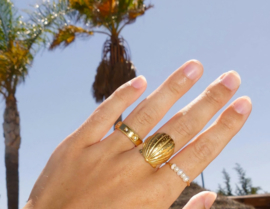 Ring Bold Shell