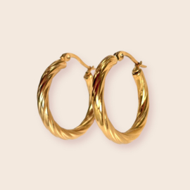 Oorbellen Golden Hoops