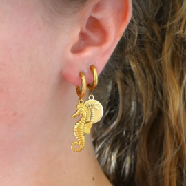 Single Oorbel Sea Horse