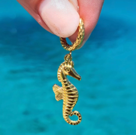 Single Oorbel Sea Horse