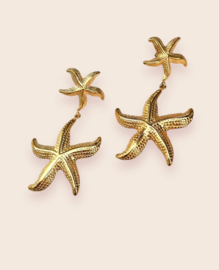 Oorbellen Sea Star
