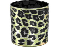 PTMD Desiree Windlicht Cheetah - H15 x Ø15 cm - Glas - Goud