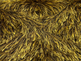 44923 EYELASH