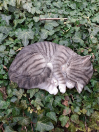 Katten beelden grijze kat slapend van H&H 12x28x20 cm