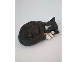 Katten beelden slapende zwarte kat van H&H Collections voor binnen of buiten 12x28x20 cm