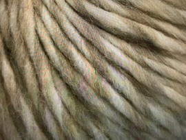 ** 62838 Etno Alpaca