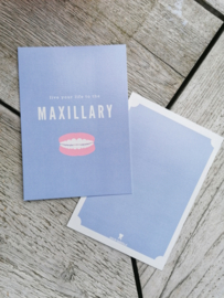 Live life to the maxillary!