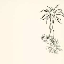 Behang Lighthouse Palm