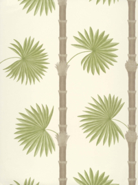 Behang Hardy Palm