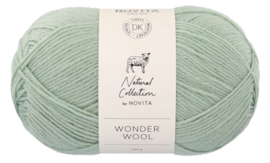 Novita Wonder Wool - 308 jade