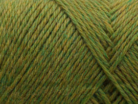 Arwetta 809 Advocado