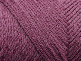 Arwetta 236 Red Clover