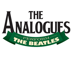 The Analogues Shop